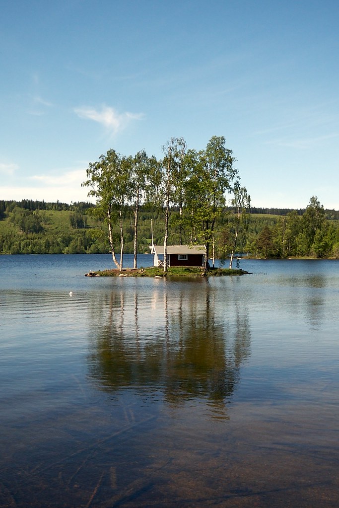 Aménagement Malin : Optimisez Votre Espace de tiny house