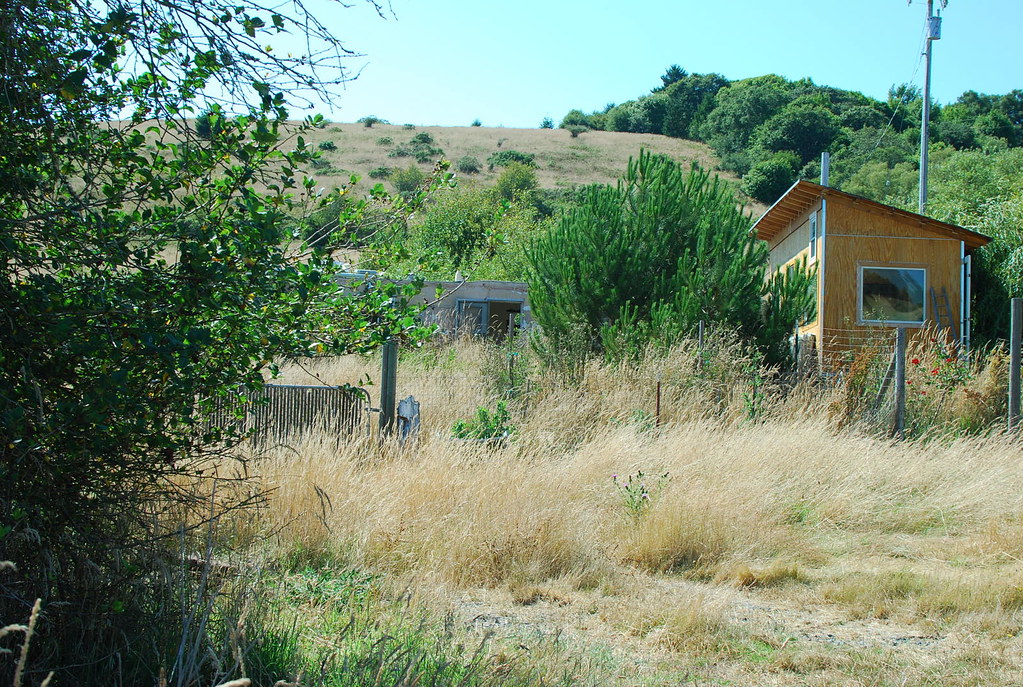 Zéro Déchet en Tiny House: Astuces Écologiques